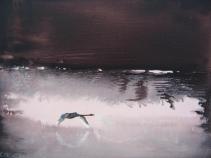 IMG_8979 The swan, Acrylic 28 x 22 cm - Cecilia Stigevik